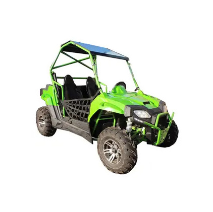 Powerful 150cc 250cc gasoline UTV 4 wheeler Quad bike