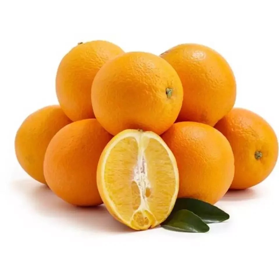 Wholesale Fresh ORANGES Price Fresh Cheap Valencia Orange.