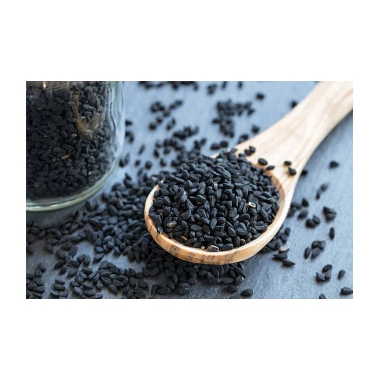 Best Product Black Cumin Seed and New Harvest Single Species or Nigella Sativa Extract Powder from Netherlands.