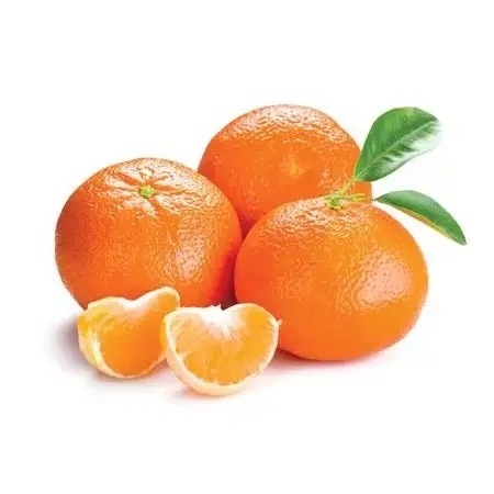 Wholesale Fresh ORANGES Price Fresh Cheap Valencia Orange.