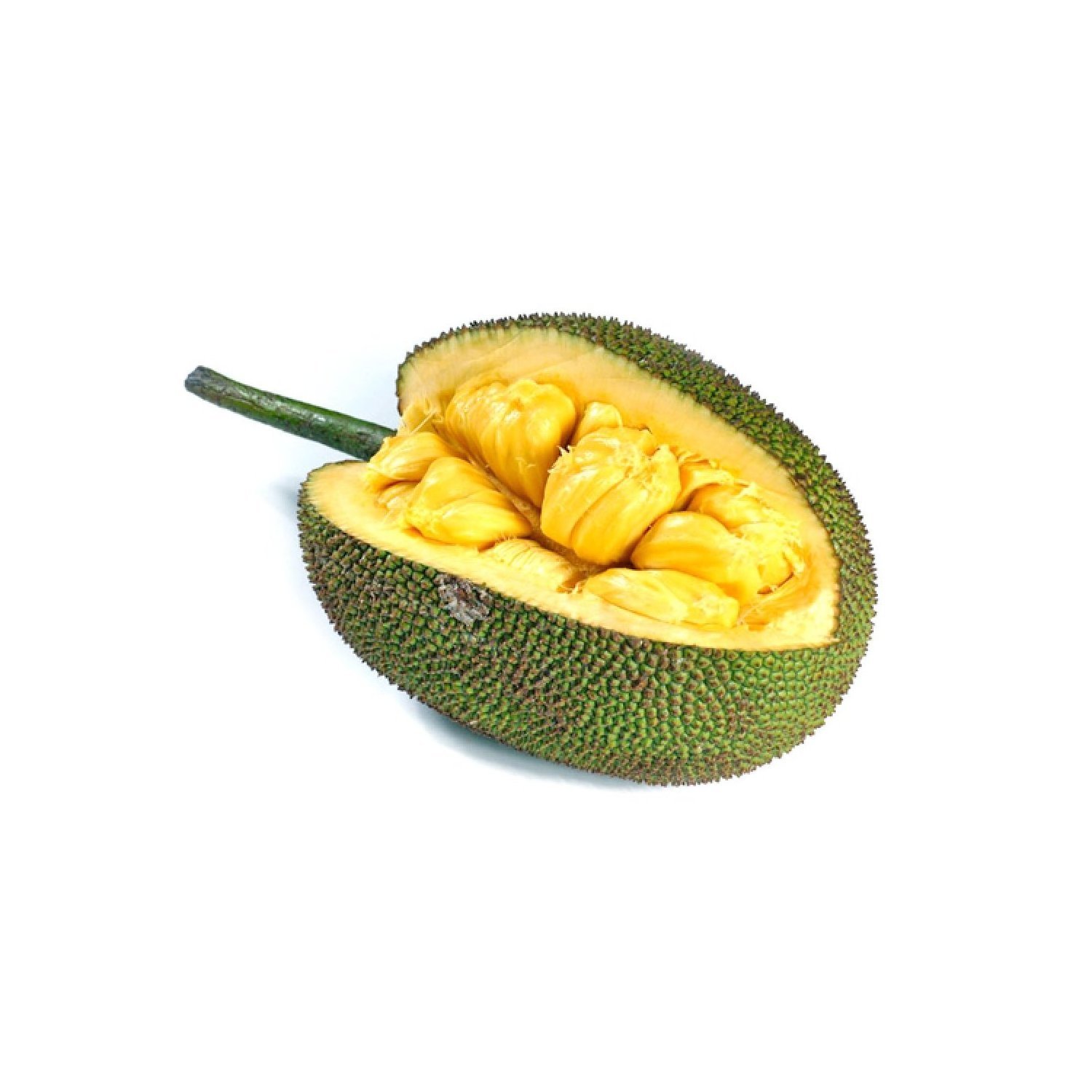 Best Quality Jackfruit In Syrup Canned Food / Premium OEM Service Canned Jackfruit in syrup