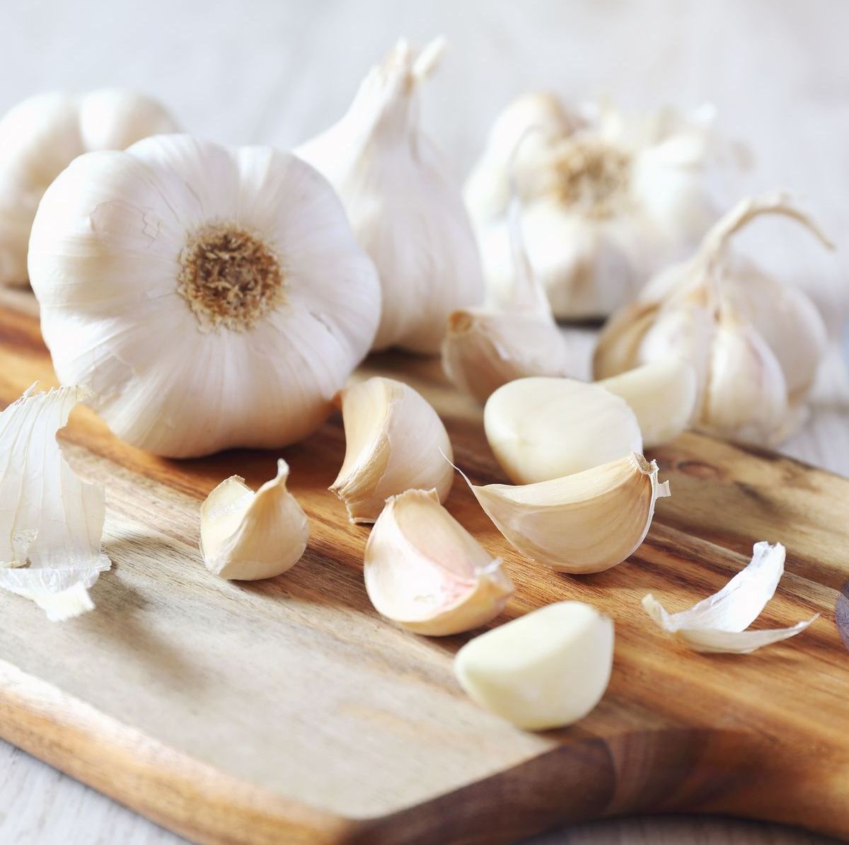 Top normal white garlic buyers garlic seed from china export garlic price