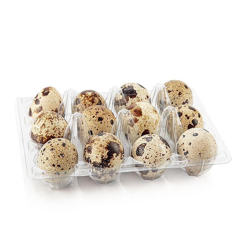 Top Quality Fresh QUAIL EGGS For Wholesale Price And Ready For Supply worldwide