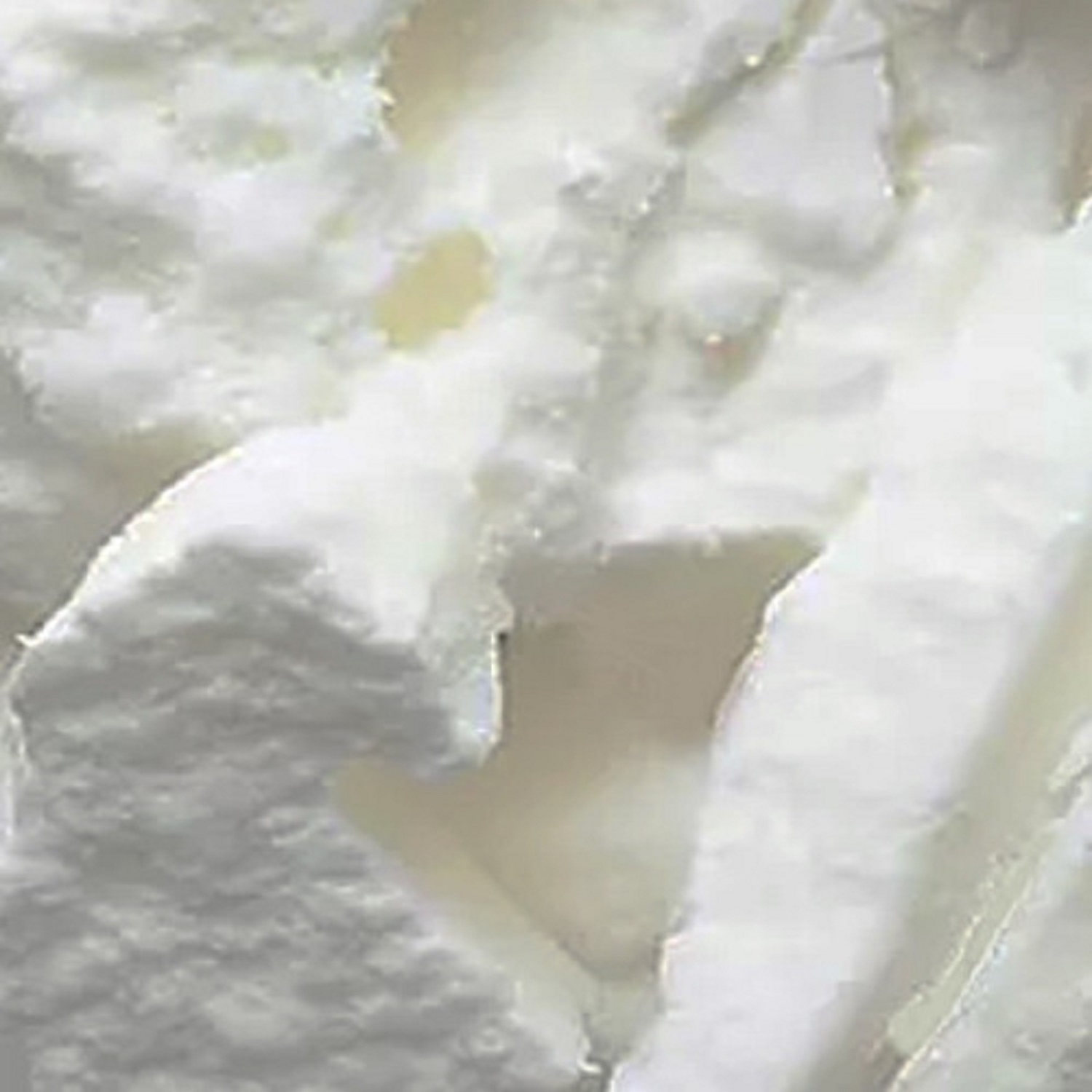 Premium Manufacture Wax Wholesale 100% Natural Eco-friendly Soy-Coconut Wax