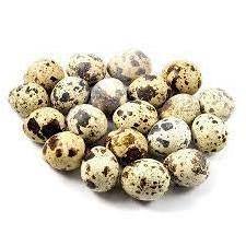 Top Quality Fresh QUAIL EGGS For Wholesale Price And Ready For Supply worldwide