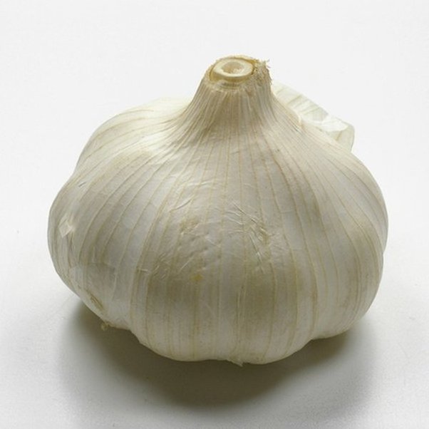 Top normal white garlic buyers garlic seed from china export garlic price