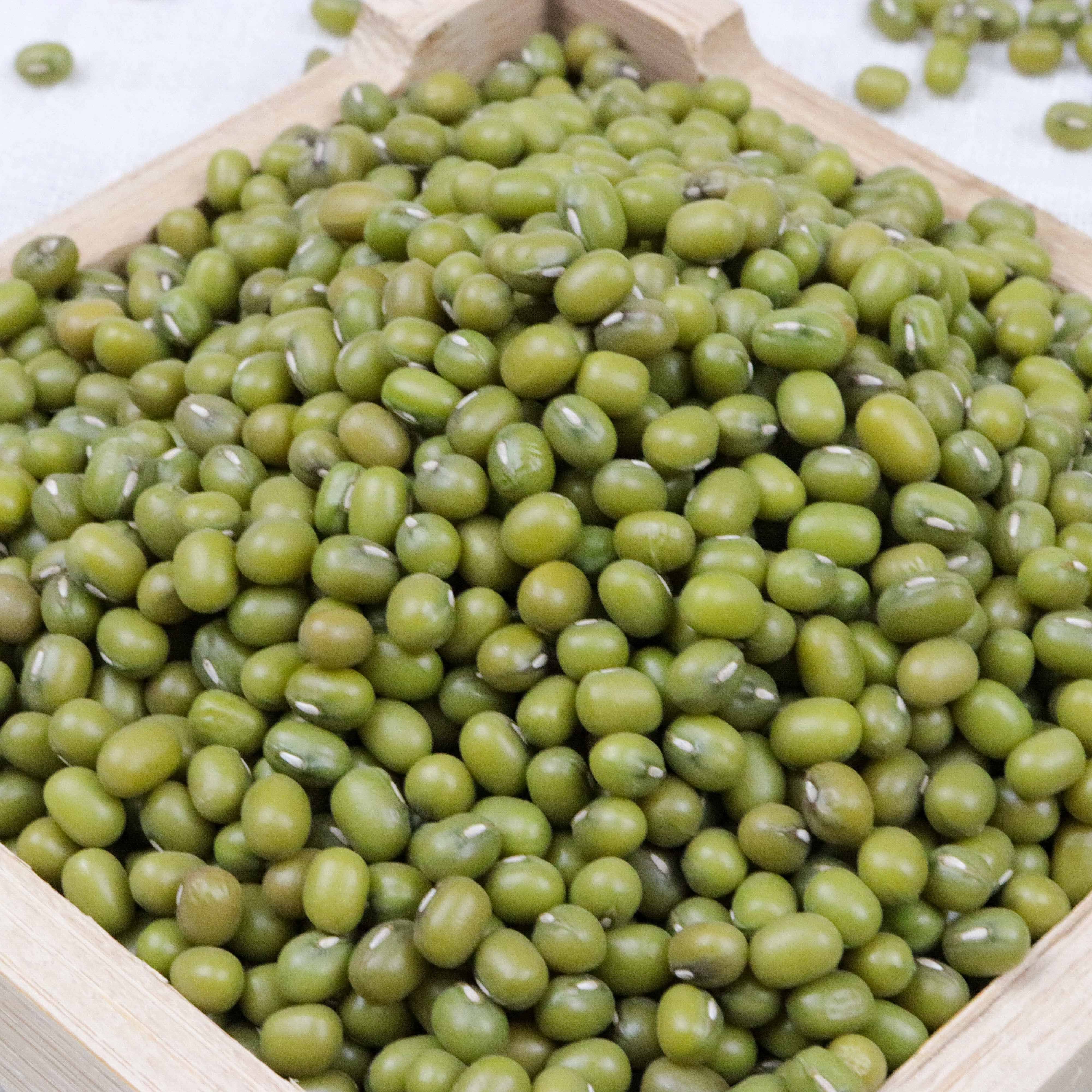 Bulk Green Mung Beans For Sale