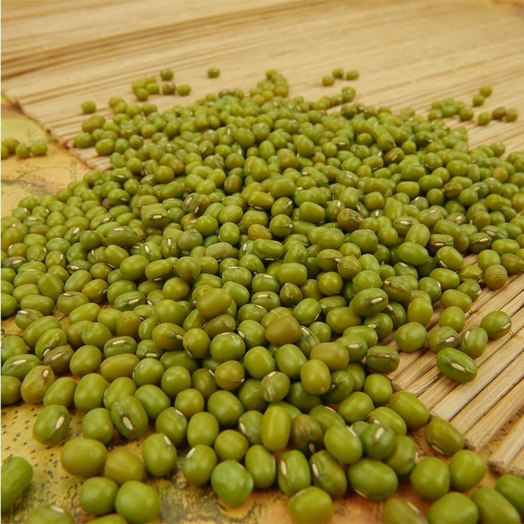 Bulk Green Mung Beans For Sale