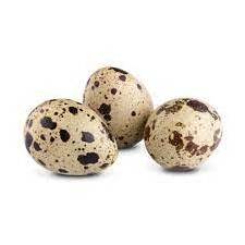 Fertile Hatching Chicken Egg/Fresh Chicken Table Eggs/Quail Eggs for Export