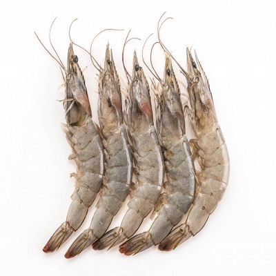 Wholesales Frozen River Shrimp 450gr Vietnam Food Export Products IQF Cheap Price Frozen River Shrimp Factory Price