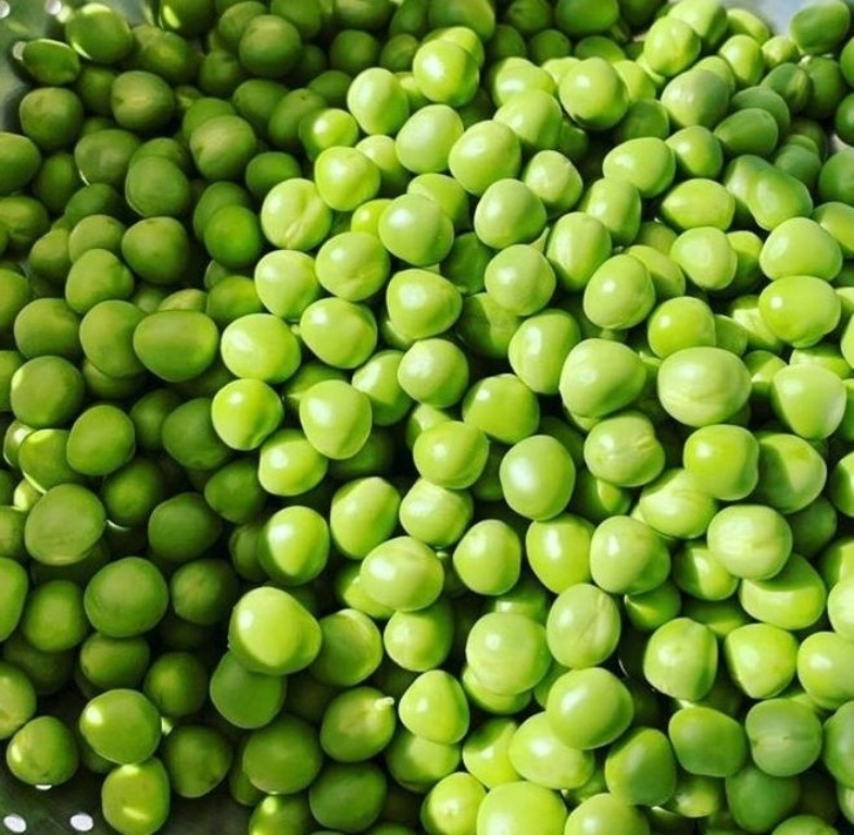 Best Quality Dried Whole Pigeon Peas Wholesale hot selling best price frozen green Snap Peas