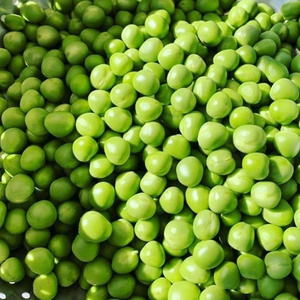 Best Quality Dried Whole Pigeon Peas Wholesale hot selling best price frozen green Snap Peas