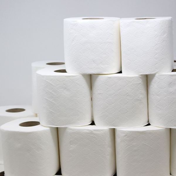 TOILET PAPER TISSUE 6 ROLL 3 PLY FROM FACTORY reasonable price guarantee