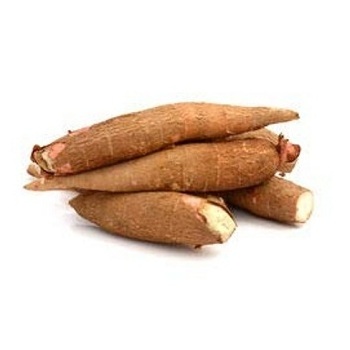 Wholesale dried Cassava /Raw dry Cassava with Competitive price and Fast delivery service