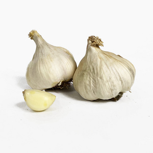 Top normal white garlic buyers garlic seed from china export garlic price