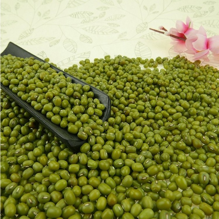 Bulk Green Mung Beans For Sale