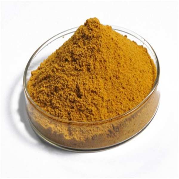 Suppliers 60% protein yellow wheat for anima chicken feed corn gluten meal bulk quality animal feed