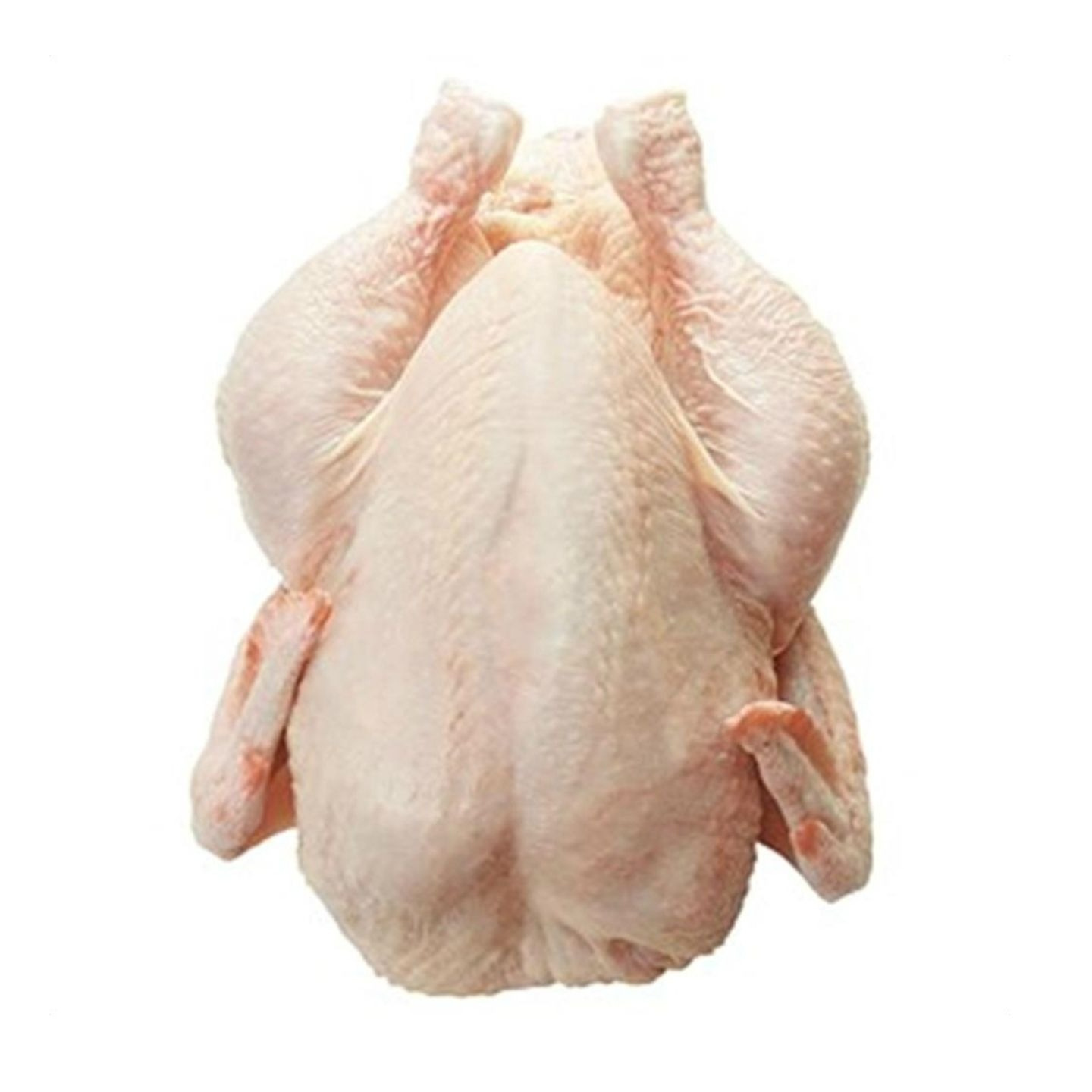 Quality Frozen Whole Chicken and Chicken Parts from USA Supplier at Bulk Price