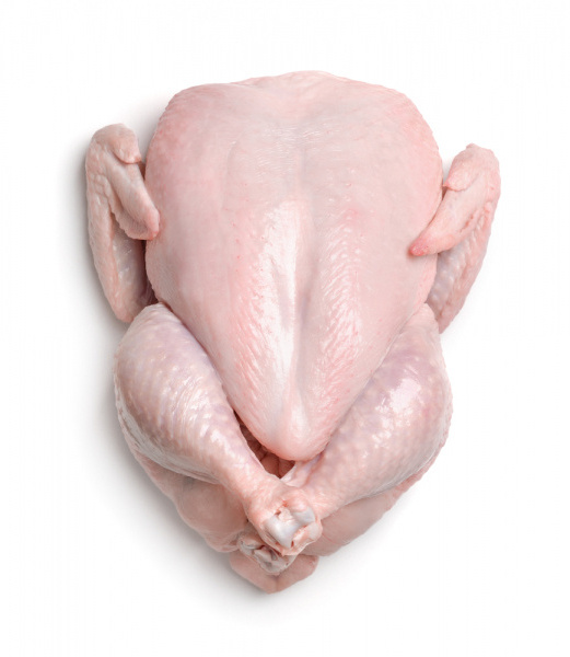 Quality Frozen Whole Chicken and Chicken Parts from USA Supplier at Bulk Price