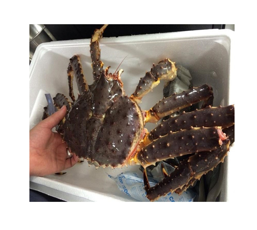 2024 Factory supply Frozen Seafood Swimming Crab with Roe