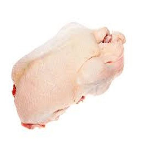 Quality Frozen Whole Chicken and Chicken Parts from USA Supplier at Bulk Price