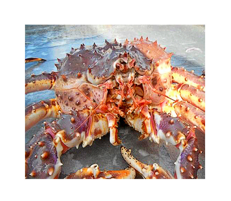 2024 Factory supply Frozen Seafood Swimming Crab with Roe