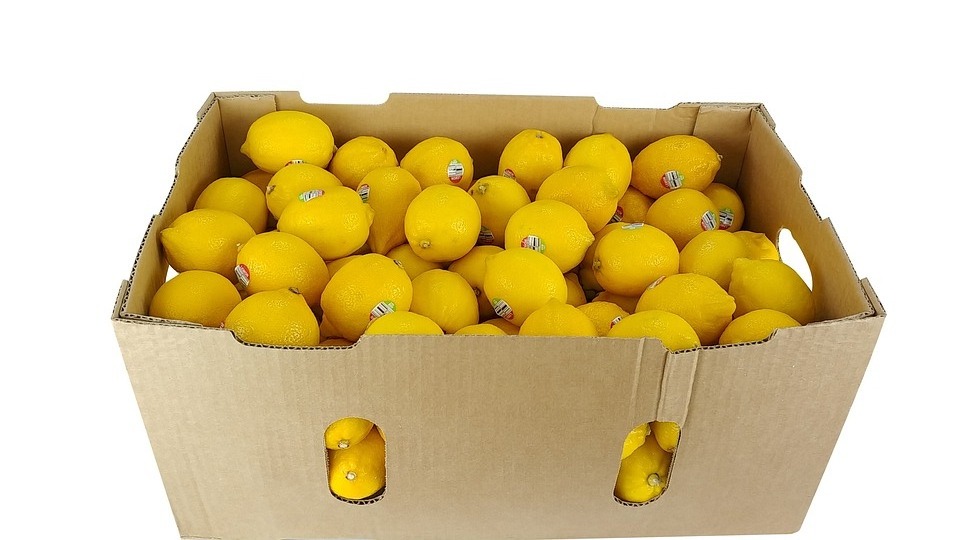 Premium Fresh Green and Yellow Lemon For Sale