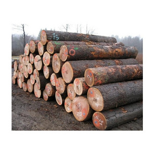 We supply all types of Sawn Timber Wood and Logs