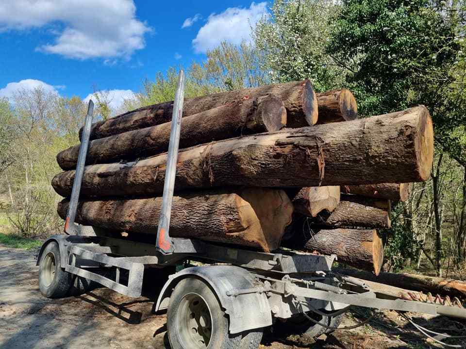 We supply all types of Sawn Timber Wood and Logs