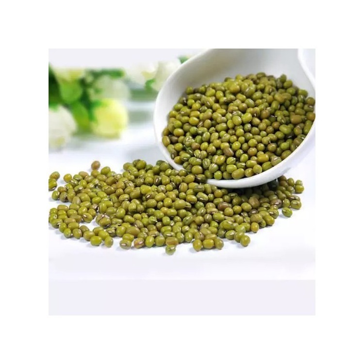 Machine Cleaned Premium Grade Green Mung Beans