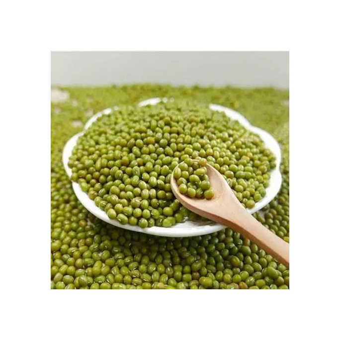 High Quality Buyers Premium Agriculture Natural Protein Green Mung Beans Price From Best Supplier