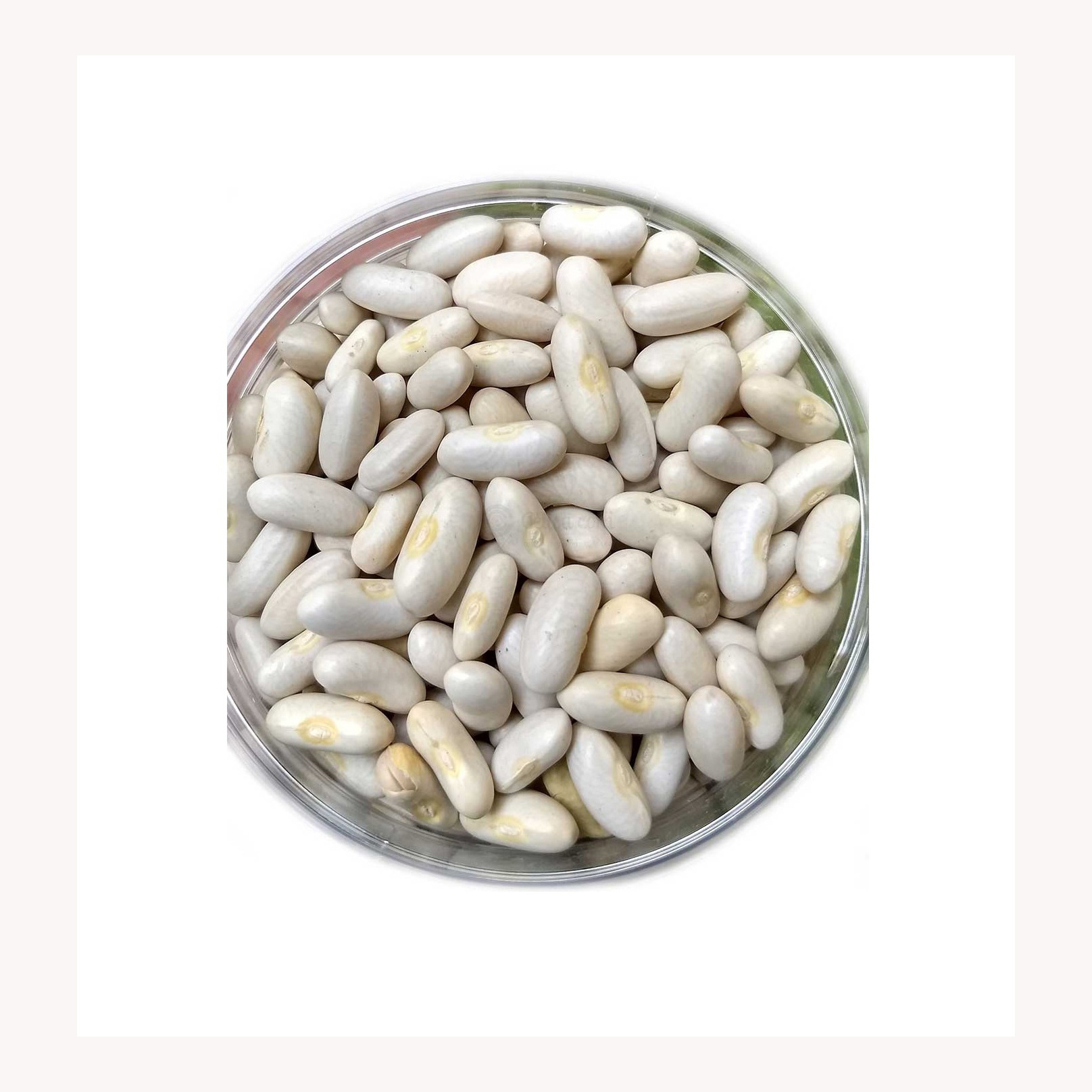 Best Quality natural dried coriander seeds for sale