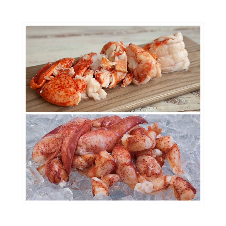 Fresh and Frozen Claw & Knuckle Lobster Meat