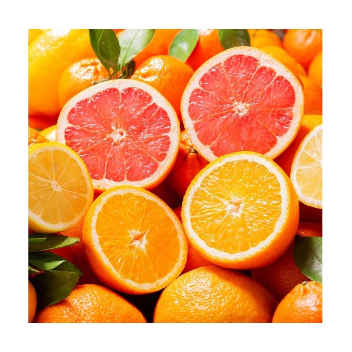 Best Selling And High Premium Fresh Valencia Oranges Fresh 100% Natural Pure Healthy Valencia Orange For Sale