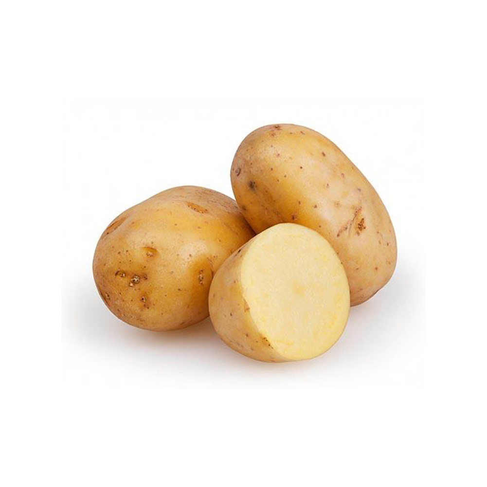 High Quality Fresh Potatoes Available For Sale