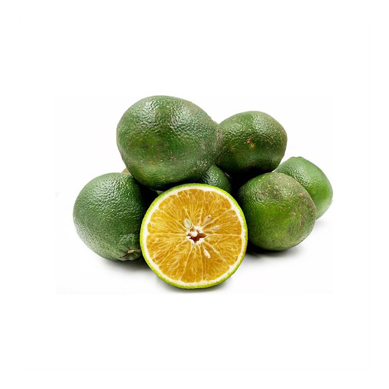 Premium Fresh Fruit Green Sour Taste Seedless Lemon Lime For Beverages Juice Drinks Top a Grade