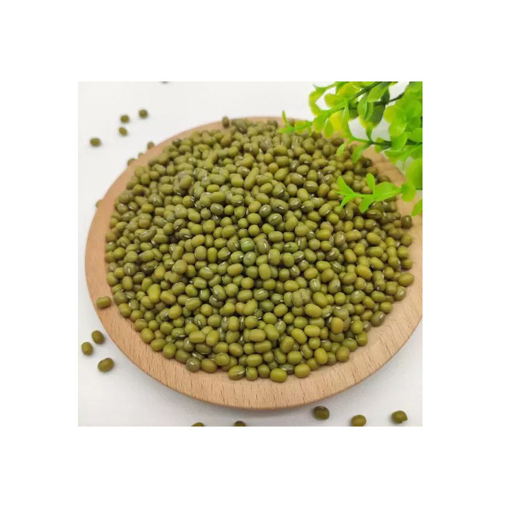 High Quality Buyers Premium Agriculture Natural Protein Green Mung Beans Price From Best Supplier