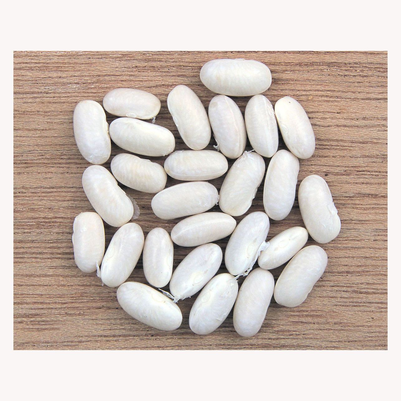 Best Quality natural dried coriander seeds for sale