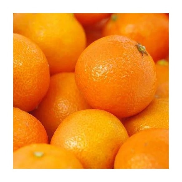 Best Selling And High Premium Fresh Valencia Oranges Fresh 100% Natural Pure Healthy Valencia Orange For Sale