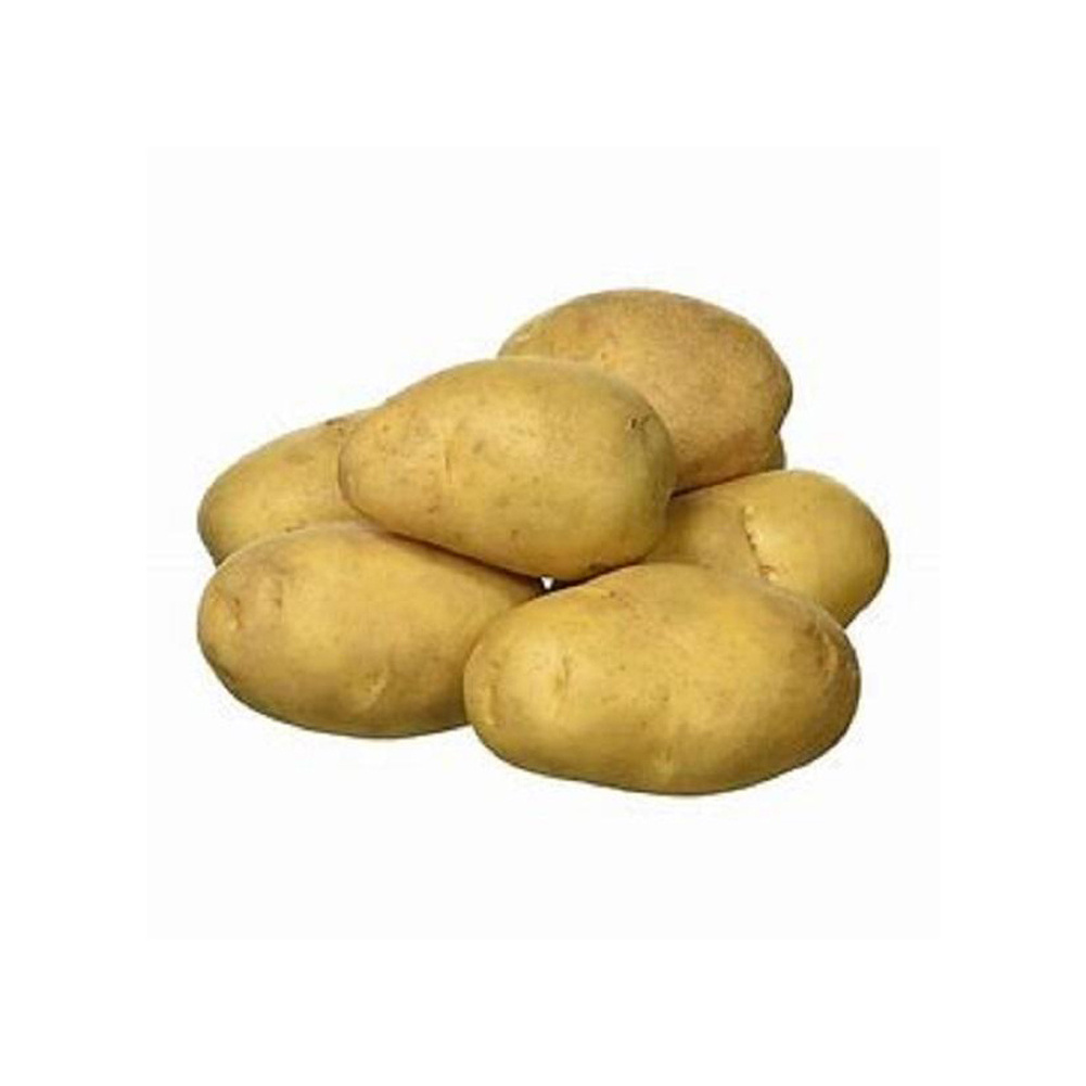 High Quality Fresh Potatoes Available For Sale