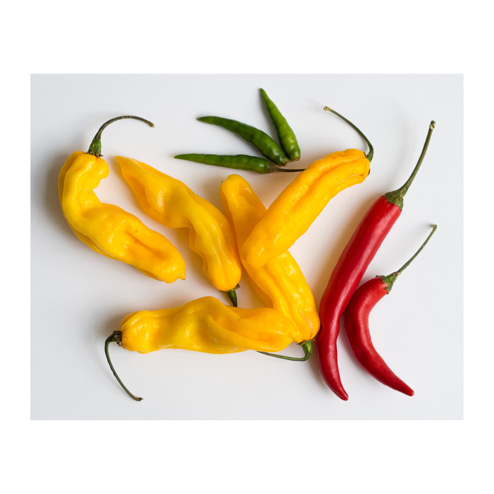 Wholesale Supplier Best Quality Chili Pepper Seeds For Sale In Cheap Price high quality natural dry red hot chili