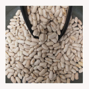 Best Quality natural dried coriander seeds for sale