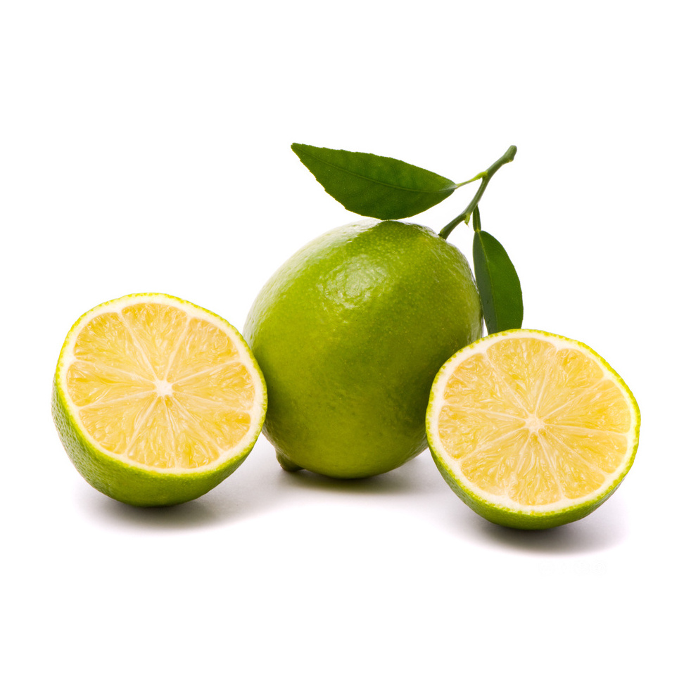 Premium Fresh Fruit Green Sour Taste Seedless Lemon Lime For Beverages Juice Drinks Top a Grade