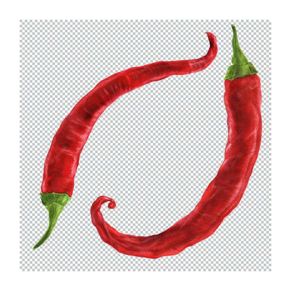 Wholesale Supplier Best Quality Chili Pepper Seeds For Sale In Cheap Price high quality natural dry red hot chili