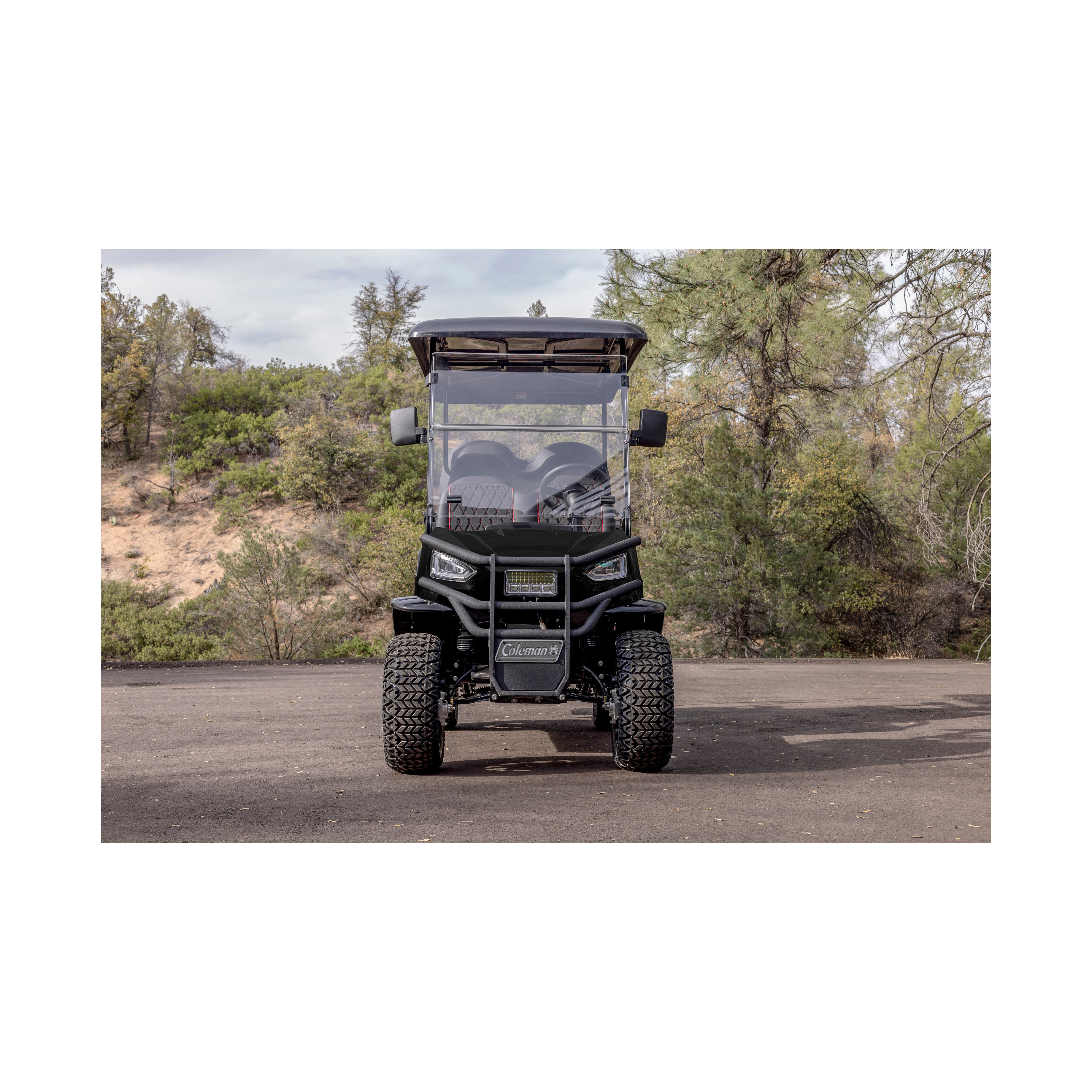 golf cart electric style with 48v Golf Cart