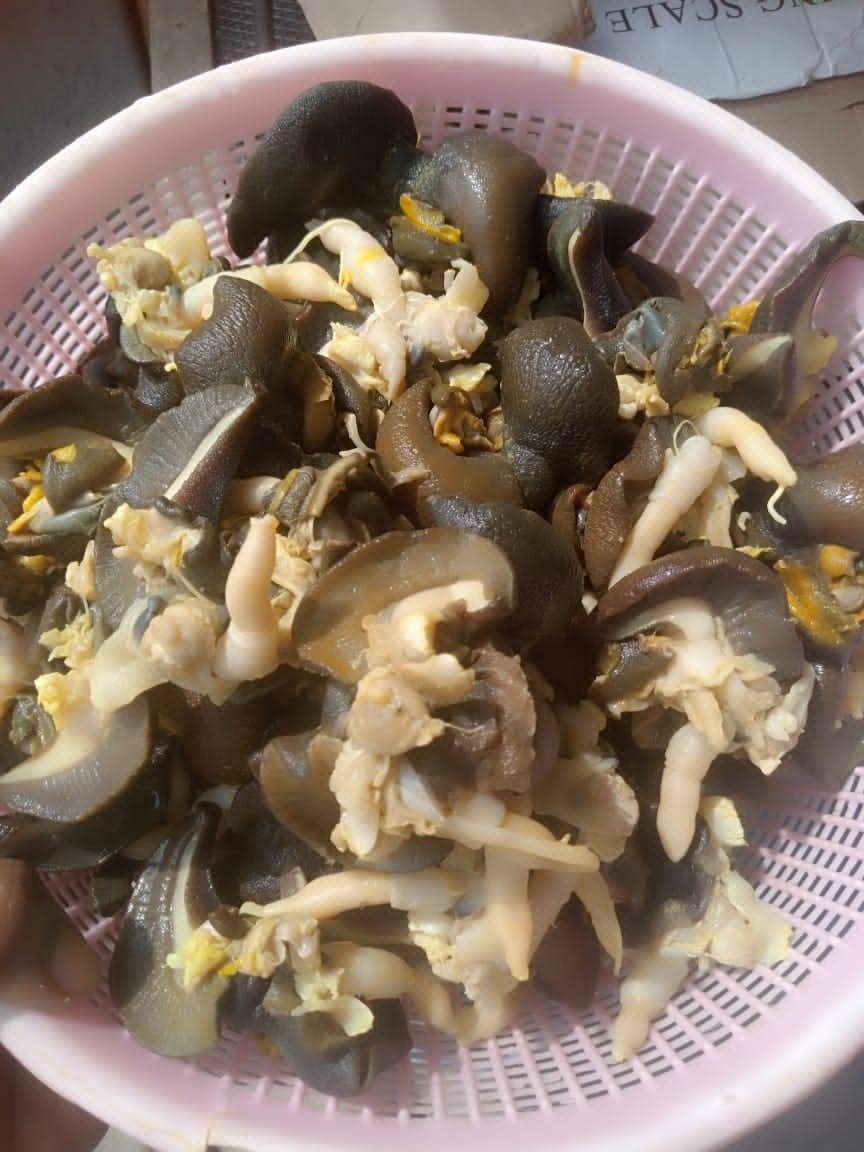 Dried / Fresh/ Frozen Snails and Giant Snails For Export Available Now