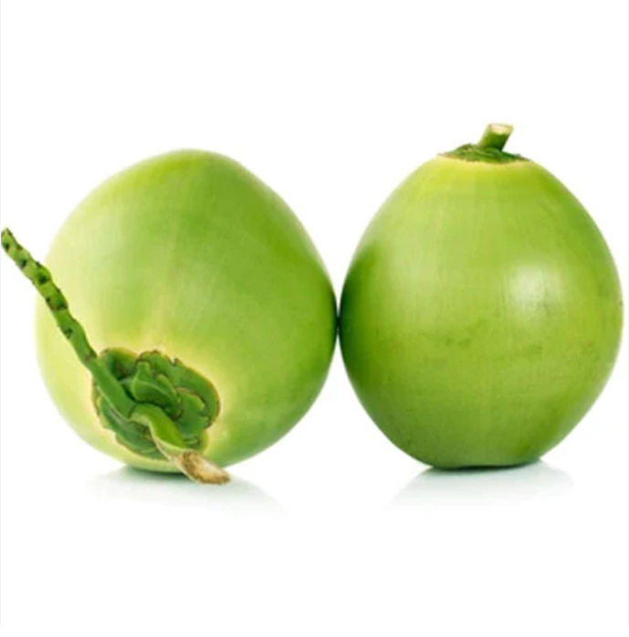 Young Coconut / Fresh Coconut / Fresh green young coconut Top quality best price coconut for wholesales