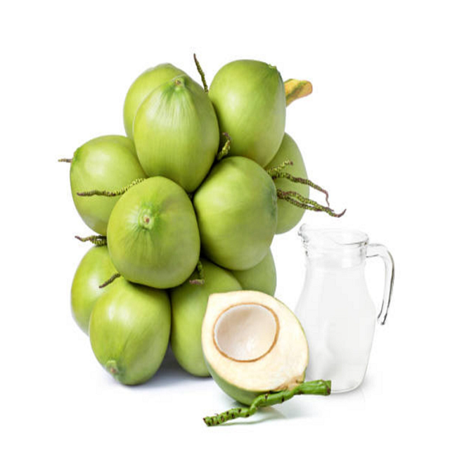 Wholesale Fresh Young Coconut for Drinking and Cooking Premium Quality