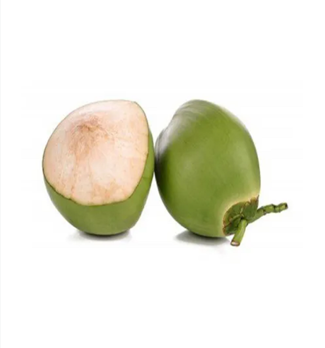 Young Coconut / Fresh Coconut / Fresh green young coconut Top quality best price coconut for wholesales