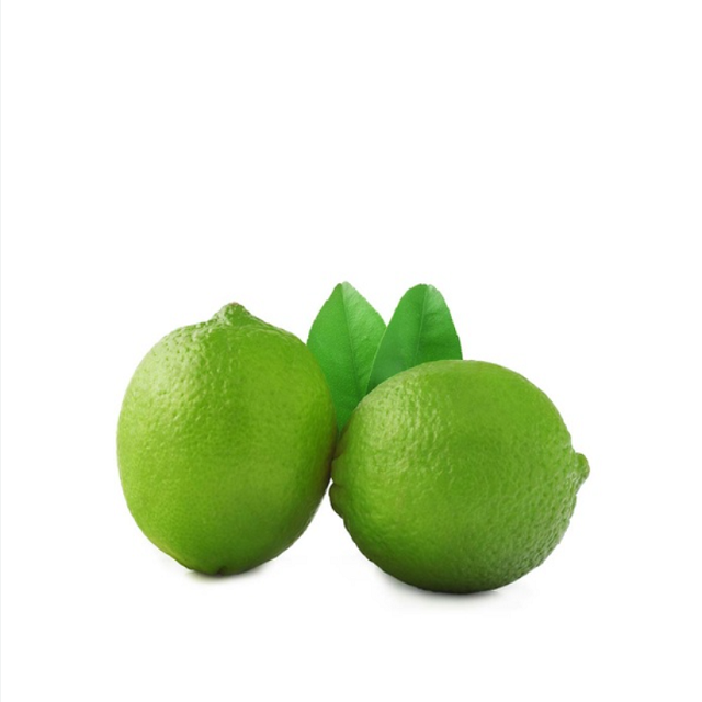 Lime seedless fresh seedless lime fresh green lemon high quality for exporting competitive price